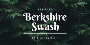 Berkshire Swash