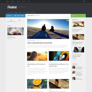 Hueman Theme