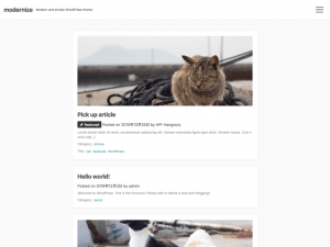 Modernize Theme